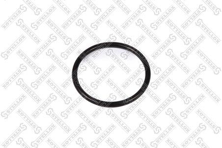 GARNITURA, CARCASA TERMOSTAT STELLOX 11-25428-SX - Compatibil cu ARO, AUDI, BESTURN (FAW), CHRYSLER, DODGE, FORD, JEEP, MITSUBIS