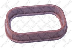 GARNITURA GALERIE ADMISIE STELLOX 11-26007-SX - Compatibil cu CITROEN, FIAT, FORD, JAGUAR, LAND ROVER, LTI, PEUGEOT