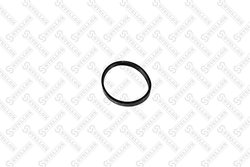 GARNITURA GALERIE ADMISIE STELLOX 11-26040-SX - Compatibil cu CITROEN, PEUGEOT