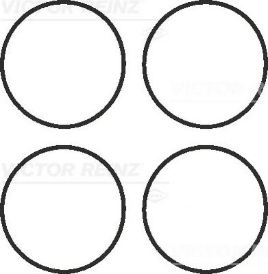 SET GARNITURI GALERIE ADMISIE VICTOR REINZ 11-41336-01 - Compatibil cu BMW