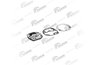 Taler supapa, compresor aer VADEN ORIGINAL 1100 110 650