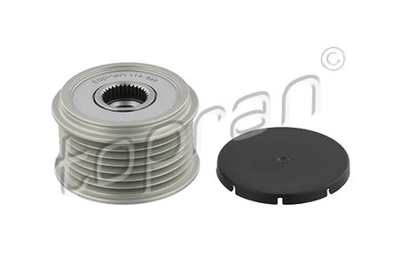 Fulie alternator Topran 114 569