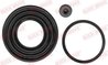 SET REPARATIE ETRIER QUICK BRAKE 114-0131 - Compatibil cu BMW, CITROEN, FIAT, JAGUAR, LANCIA, MG, PEUGEOT, ROVER