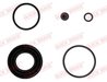 SET REPARATIE ETRIER QUICK BRAKE 114-0140 - Compatibil cu BMW, FORD, MINI
