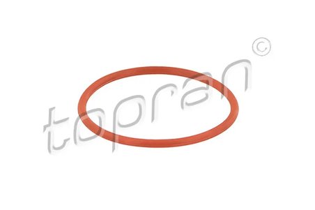 GARNITURA CARCASA GALERIE ADMISIE TOPRAN 115 583 - Compatibil cu AUDI, SEAT, SKODA, VW