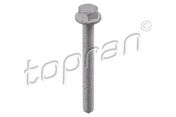 Surub Topran 115 703
