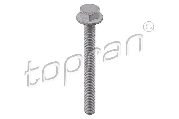 Surub Topran 115 703