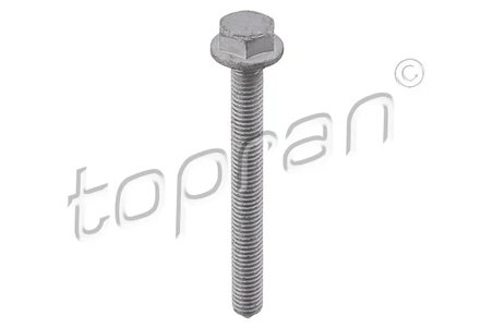 Surub Topran 115 703