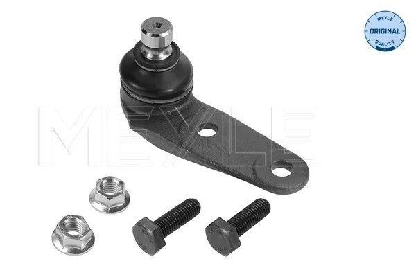 Pivot Meyle 116 010 3916