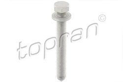 Surub Topran 116 950