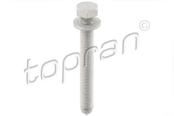 Surub Topran 116 950