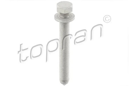 Surub Topran 116 950