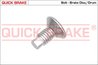 Surub, disc frana QUICK BRAKE 11663