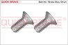 SET SURUB, DISC FRANA QUICK BRAKE 11671K - Compatibil cu ABARTH, CITROEN, DS, FIAT, FORD, HONDA, OPEL, PEUGEOT, PORSCHE, SMART, 