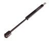 Amortizor portbagaj Maxgear 12-0067