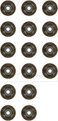 Set garnituri ax supape Victor Reinz 12-10143-01
