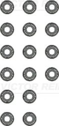 Set garnituri ax supape Victor Reinz 12-10031-01