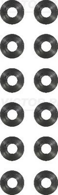 Set garnituri ax supape Victor Reinz 12-10493-01