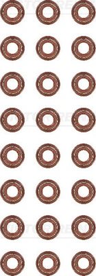 Set garnituri ax supape Victor Reinz 12-10719-01