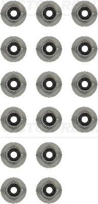 Set garnituri ax supape Victor Reinz 12-13246-01