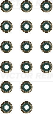 Set garnituri ax supape Victor Reinz 12-17719-01