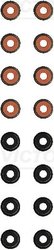 Set garnituri ax supape Victor Reinz 12-20417-01