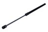 Amortizor portbagaj Maxgear 12-2249