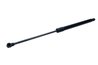 Amortizor portbagaj Maxgear 12-2276