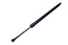Amortizor portbagaj Maxgear 12-2367