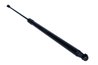 Amortizor portbagaj Maxgear 12-2410