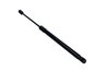 Amortizor portbagaj Maxgear 12-2433