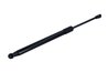 AMORTIZOR CAPOTA MAXGEAR 12-2449 - Compatibil cu NISSAN