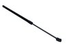 Amortizor portbagaj Maxgear 12-2470