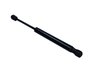 Amortizor capota Maxgear 12-2519