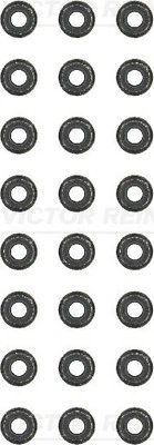 Set garnituri ax supape Victor Reinz 12-31306-05