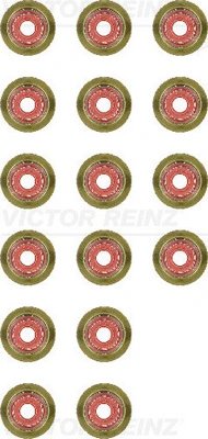 Set garnituri ax supape Victor Reinz 12-36587-01
