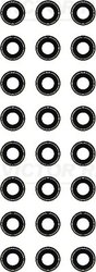Set garnituri ax supape Victor Reinz 12-42546-01