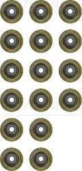 Set garnituri ax supape Victor Reinz 12-53438-02