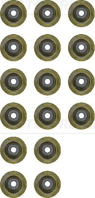 Set garnituri ax supape Victor Reinz 12-53438-02