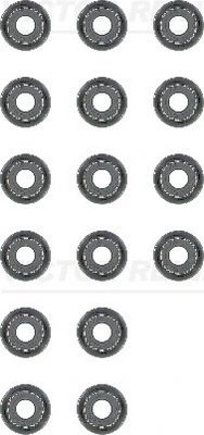 Set garnituri ax supape Victor Reinz 12-54169-02