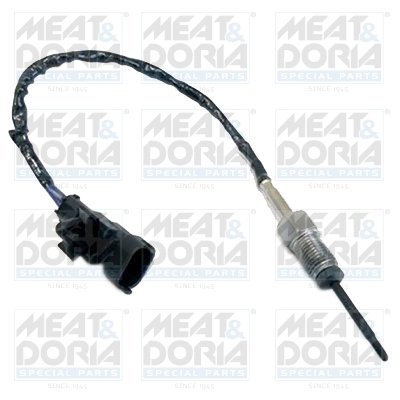 Senzor temperatura gaze evacuare Meat & Doria 12032