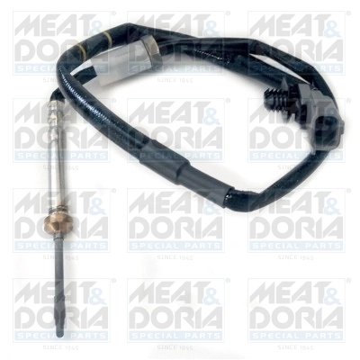 Senzor temperatura gaze evacuare Meat & Doria 12071