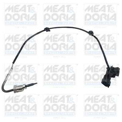 Senzor temperatura gaze evacuare Meat & Doria 12089E