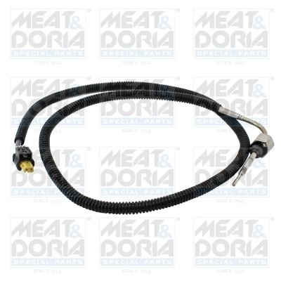 Senzor temperatura gaze evacuare Meat & Doria 12122