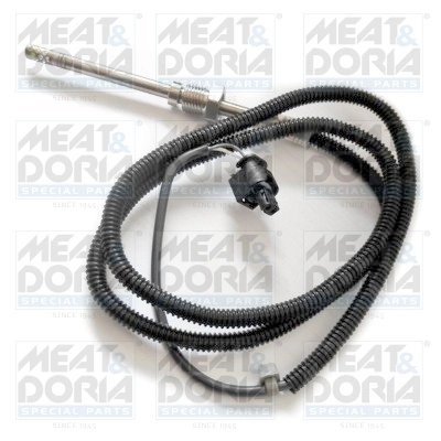 Senzor temperatura gaze evacuare Meat & Doria 12123