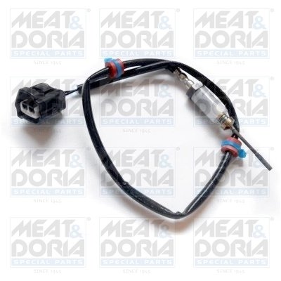 Senzor temperatura gaze evacuare Meat & Doria 12176