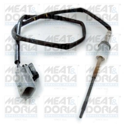 Senzor temperatura gaze evacuare Meat & Doria 12180