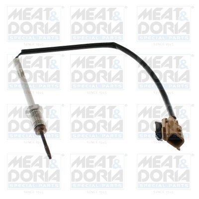 Senzor temperatura gaze evacuare Meat & Doria 12186E