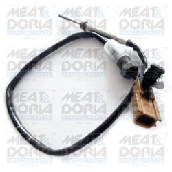 Senzor temperatura gaze evacuare Meat & Doria 12194