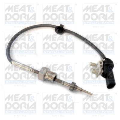 Senzor temperatura gaze evacuare Meat & Doria 12199